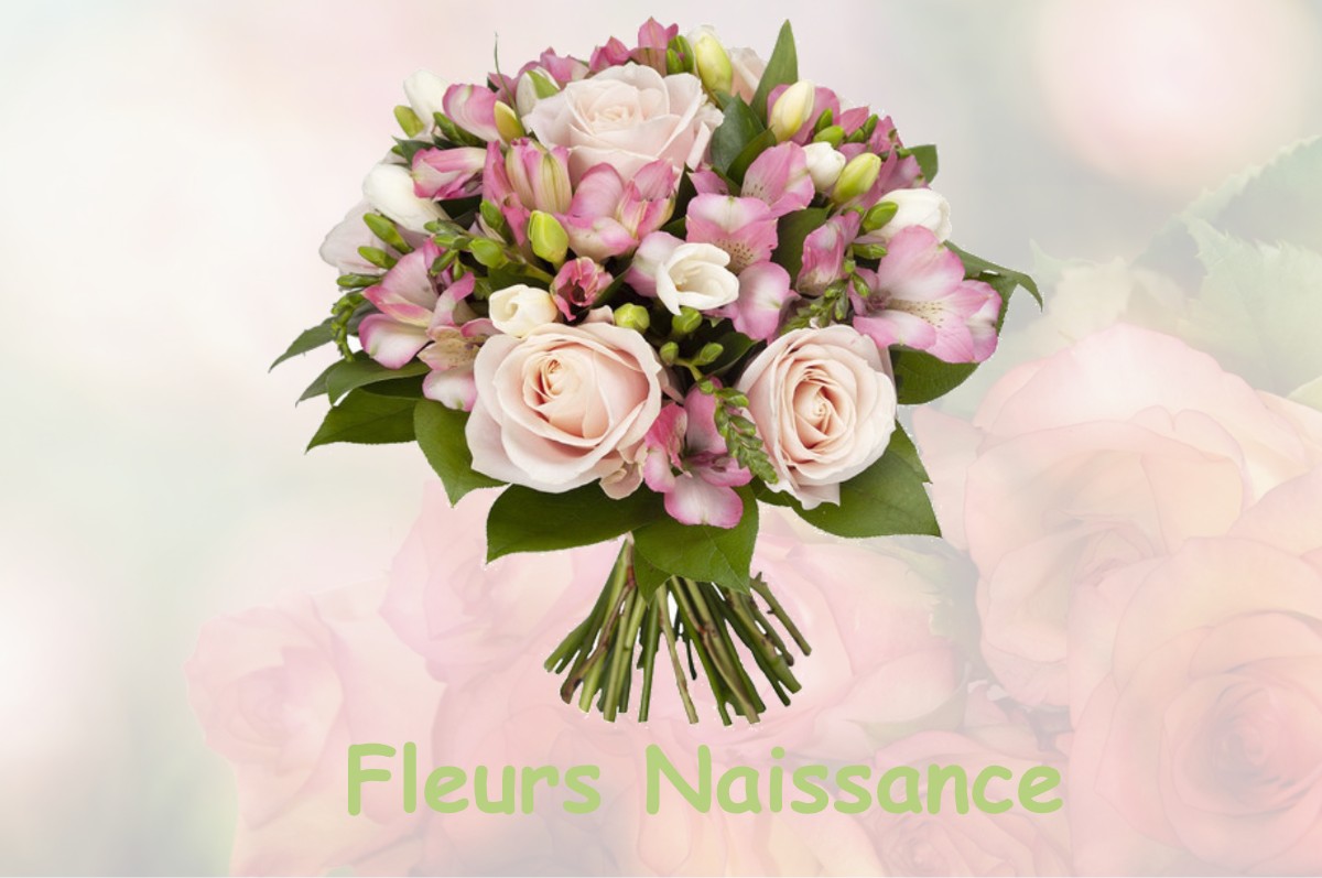 fleurs naissance SAINT-FORGEUX-LESPINASSE