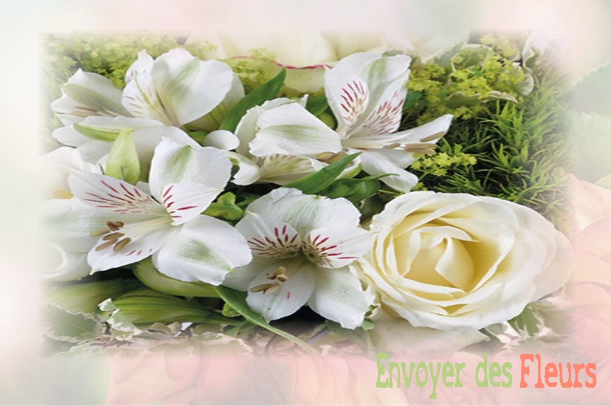 envoyer des fleurs à à SAINT-FORGEUX-LESPINASSE